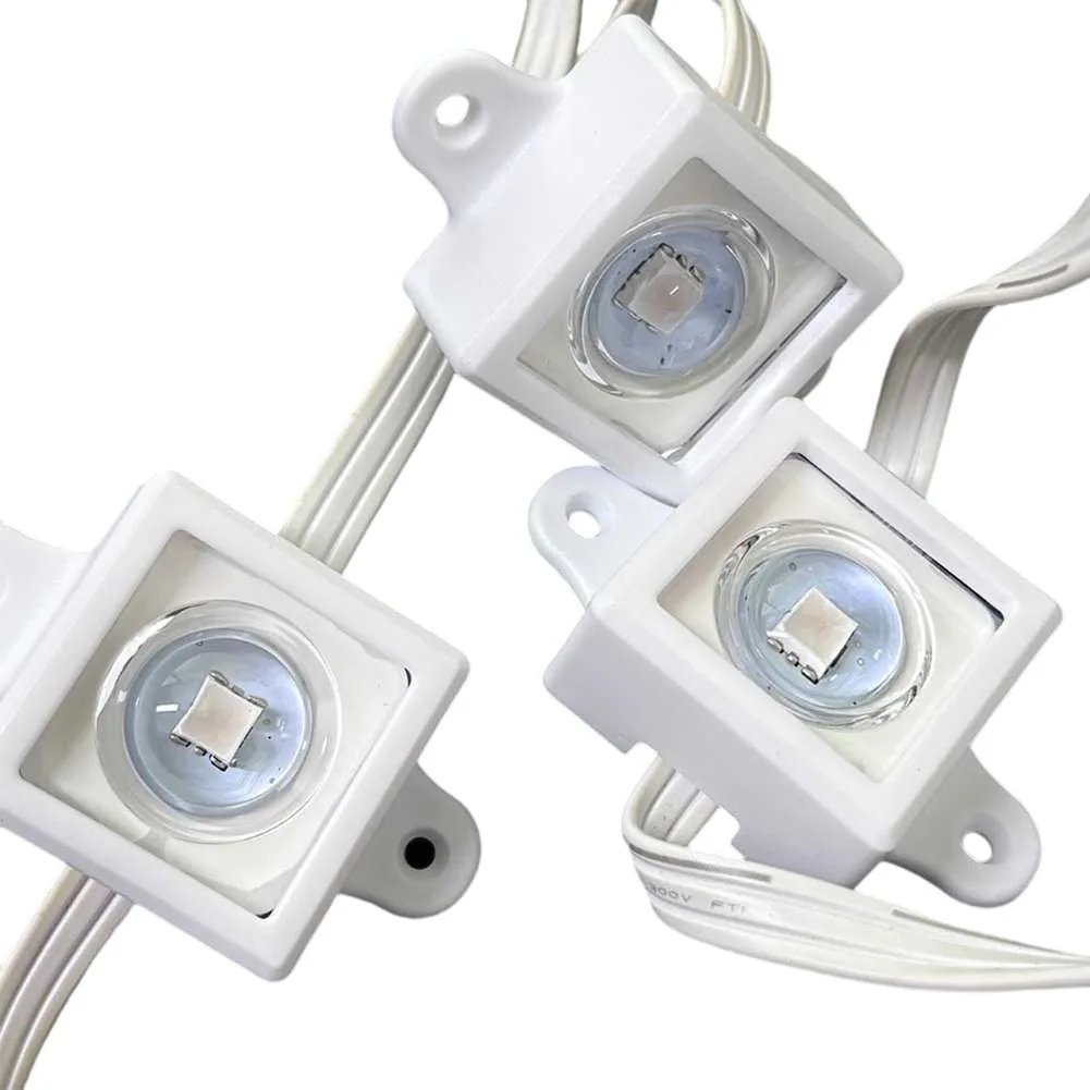 40/80pcs clipes de luz de fest - Outdoor Lighting Govee avaliação e preço